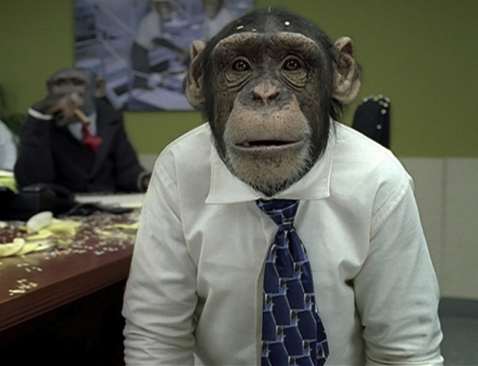 CNN Editor-in-Chief Bobo the Chimp